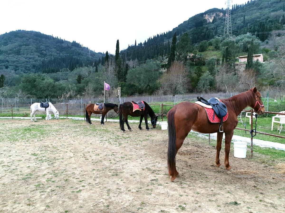 St.Nicholas Ranch Corfu Benitses  Zewnętrze zdjęcie
